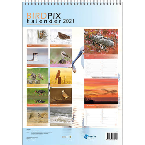 Comello Kalender Birdpix 34 Cm Papier Crème/Blauw